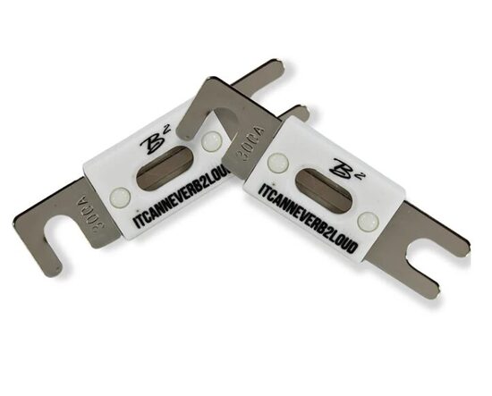Ceramic Fuse Pair ANL-300A